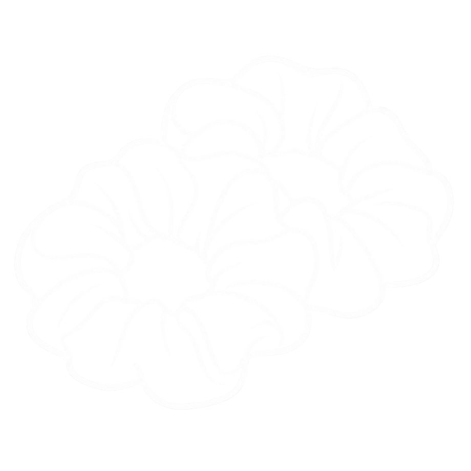 Zijden scrunchies